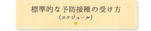 標準的な予防接種の受け方（スケジュール）